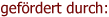 gefördert durch